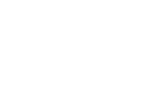 ELDAM WHITE logo-no-background